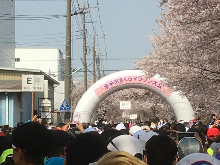 幸手市さくらマラソン大会