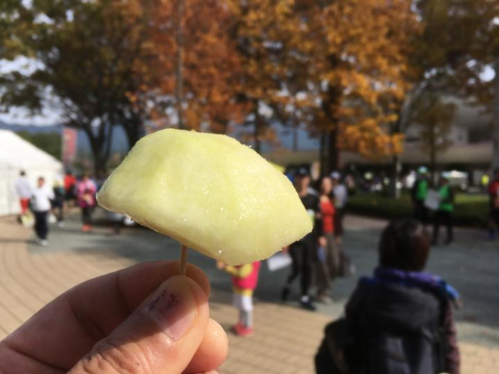 天童ラフランスマラソン(ハーフマラソン)